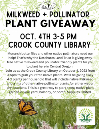 Milkweed + Pollinator Plant Giveaway