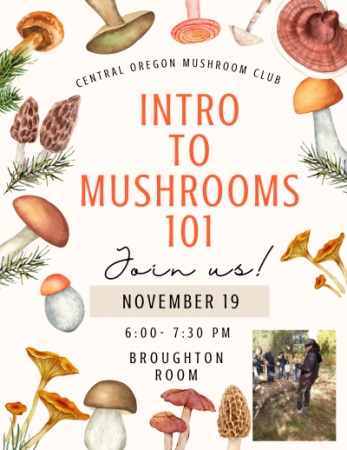 Intro to Mushrooms 101