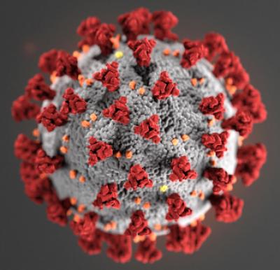 Covid-19 virus